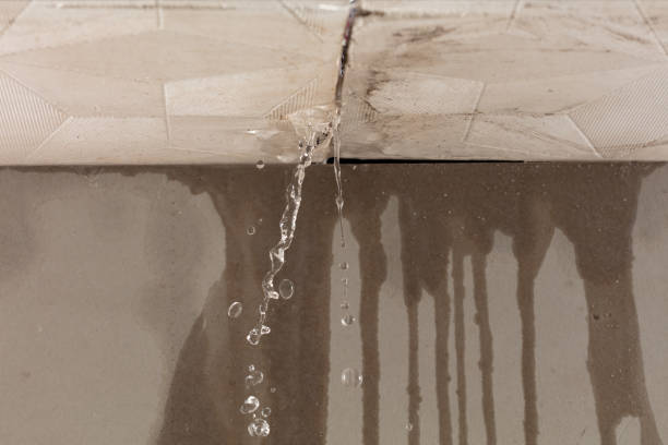 Professional Water Extraction technician working in Urbana, MD